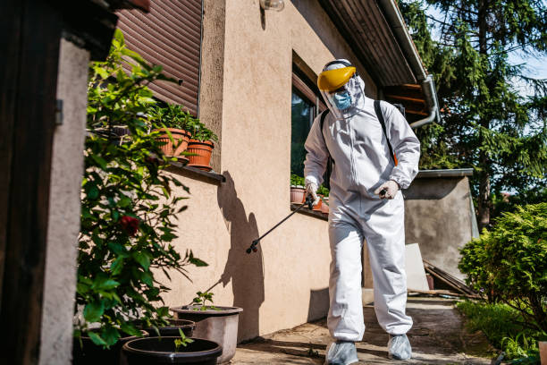 Best Pest Prevention Services  in Guadalupe, AZ