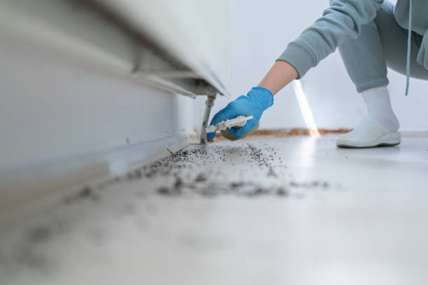 Best Pest Removal Services  in Guadalupe, AZ